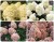 КОТТОН КРЕМ (Cotton Cream)